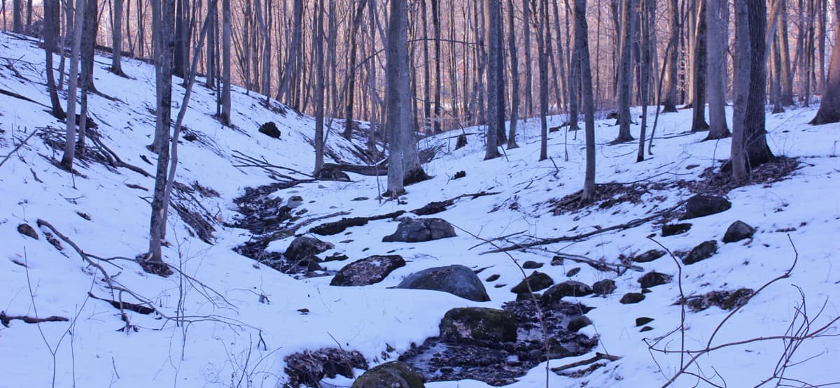 Cozy Winter Getaways: Why Berlin Ohio Cabins Are Perfect for Your Cold-Weather Escape